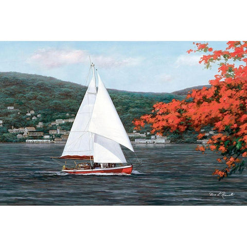 Sail Away White Modern Wood Framed Art Print by Romanello, Diane