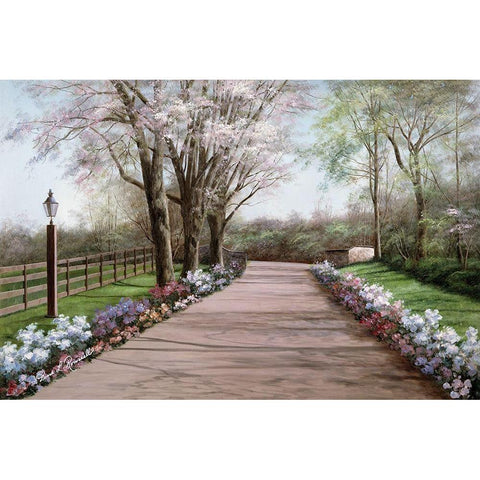 Country Lane Black Modern Wood Framed Art Print with Double Matting by Romanello, Diane