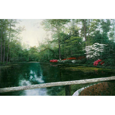 Beauty White Modern Wood Framed Art Print by Romanello, Diane