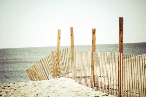 Wooden Beach Fence Black Ornate Wood Framed Art Print with Double Matting by Reiss, Jessica