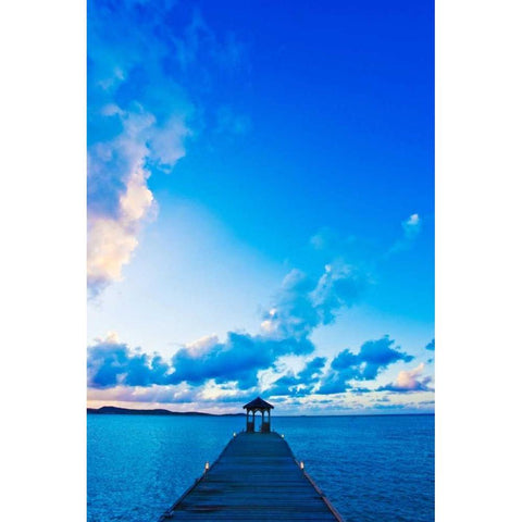 Dock Black Modern Wood Framed Art Print by Resnick, Lorne