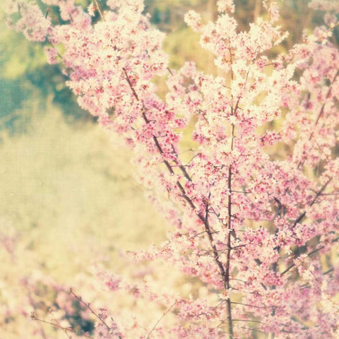 Oh To Be a Bumblebee No. 2 Gold Ornate Wood Framed Art Print with Double Matting by Soffia, Myan