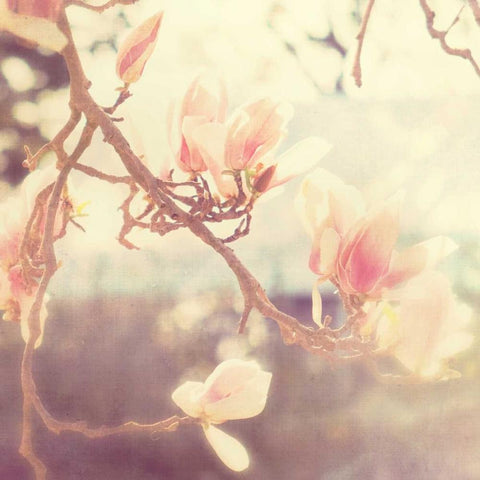 Sunshine Smile White Modern Wood Framed Art Print by Soffia, Myan