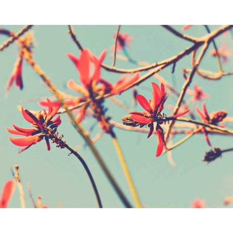 Youre So Far Away White Modern Wood Framed Art Print by Soffia, Myan