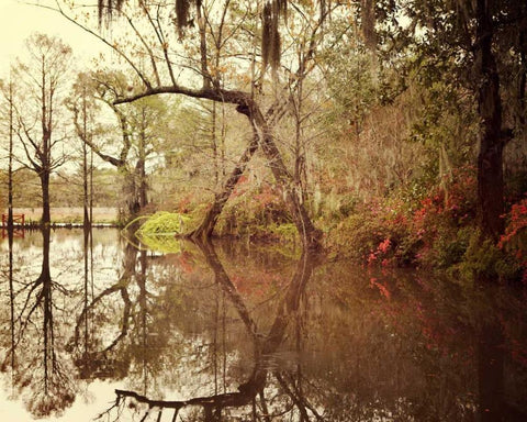 Deep South I Black Ornate Wood Framed Art Print with Double Matting by Suchocki, Irene