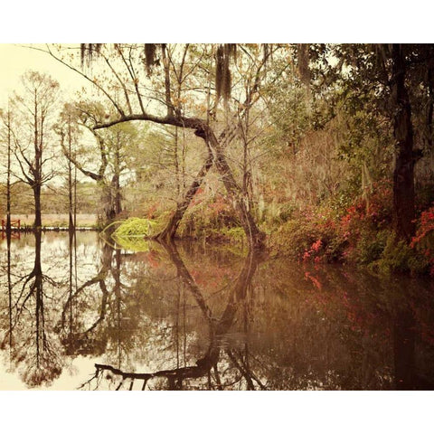 Deep South I Gold Ornate Wood Framed Art Print with Double Matting by Suchocki, Irene