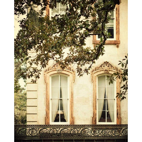 Savannah Charm I Black Modern Wood Framed Art Print with Double Matting by Suchocki, Irene