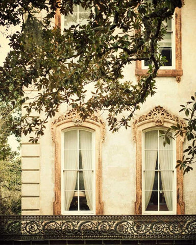 Savannah Charm I White Modern Wood Framed Art Print with Double Matting by Suchocki, Irene