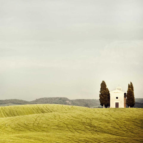 Pastoralia White Modern Wood Framed Art Print by Suchocki, Irene