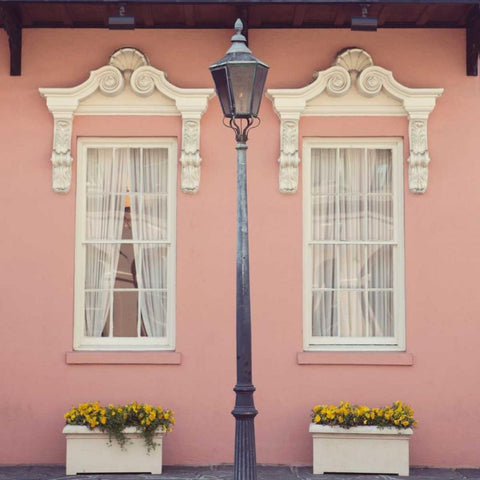 Southern Charm White Modern Wood Framed Art Print by Suchocki, Irene