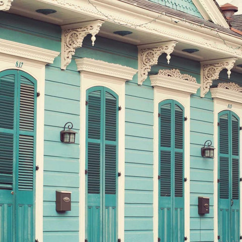 Shotgun Shack I Black Ornate Wood Framed Art Print with Double Matting by Suchocki, Irene