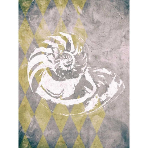 Vintage Harlequin Shell 1 Black Modern Wood Framed Art Print with Double Matting by Soave, Alicia
