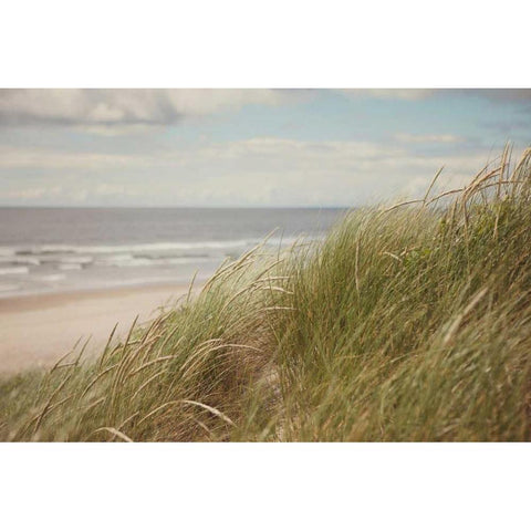 Beach Grass I White Modern Wood Framed Art Print by Suchocki, Irene