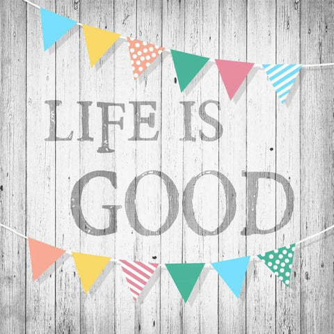 Life is Good White Modern Wood Framed Art Print by Soave, Alicia