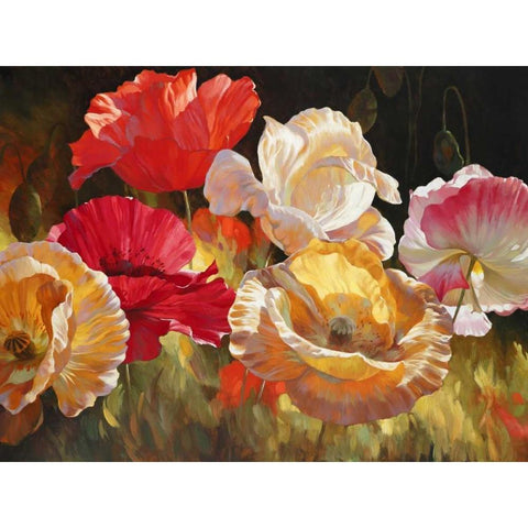 Poppy Celebration Black Modern Wood Framed Art Print with Double Matting by Styles, Emma