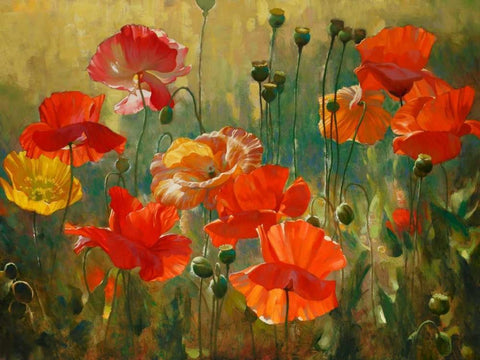 Poppy Fields White Modern Wood Framed Art Print with Double Matting by Styles, Emma