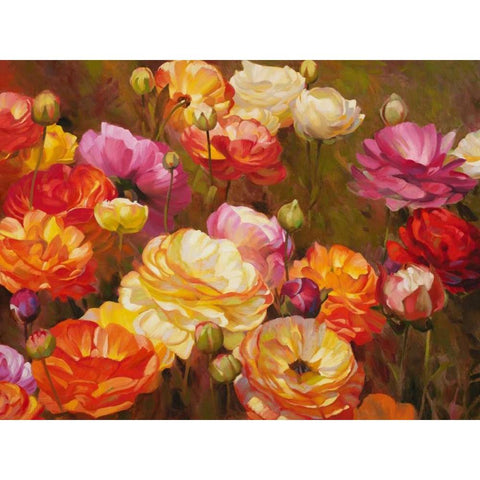 Ranunculus Garden Black Modern Wood Framed Art Print by Styles, Emma
