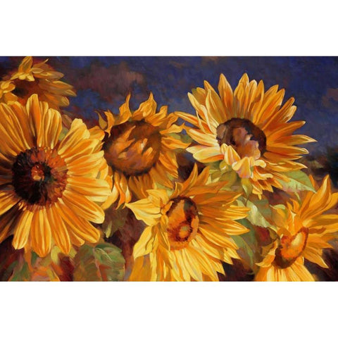 Sunflower White Modern Wood Framed Art Print by Styles, Emma