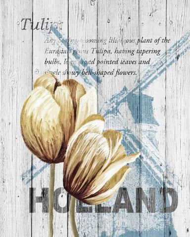 Holland Tulips Black Ornate Wood Framed Art Print with Double Matting by Soave, Alicia