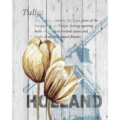 Holland Tulips Black Modern Wood Framed Art Print by Soave, Alicia