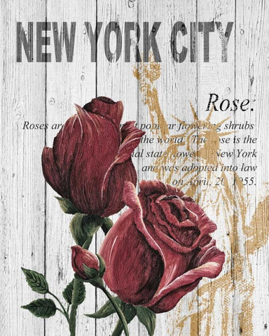 New York Roses Black Ornate Wood Framed Art Print with Double Matting by Soave, Alicia