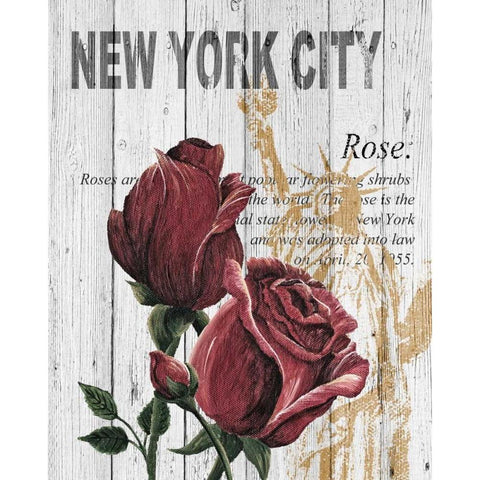 New York Roses Black Modern Wood Framed Art Print with Double Matting by Soave, Alicia
