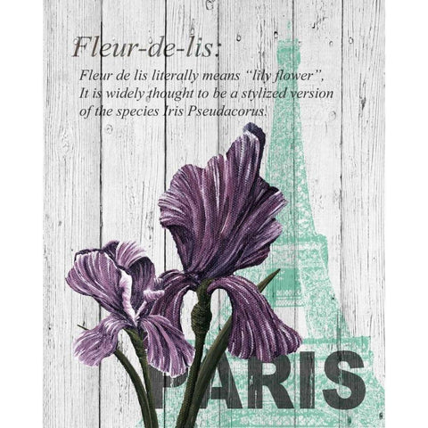 Paris Iris Black Modern Wood Framed Art Print with Double Matting by Soave, Alicia