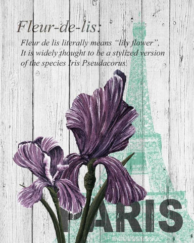 Paris Iris White Modern Wood Framed Art Print with Double Matting by Soave, Alicia