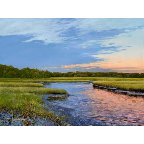 Evening Downs Black Modern Wood Framed Art Print by Sullivan, Kent