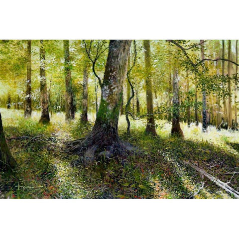Little Econ River White Modern Wood Framed Art Print by Sullivan, Kent