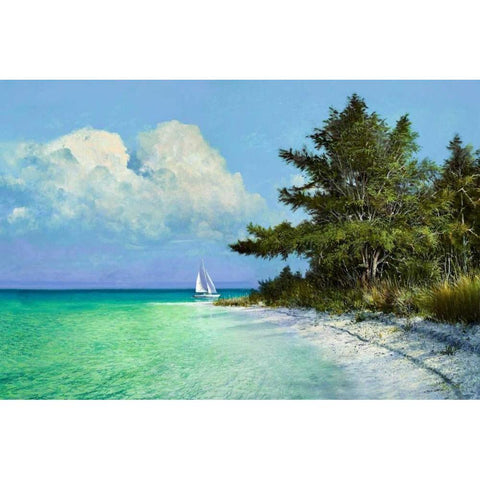 Cayo Costa Beach Black Modern Wood Framed Art Print with Double Matting by Sullivan, Kent