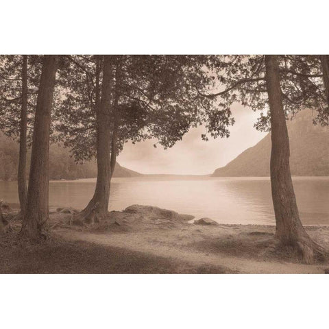 By the Lake Gold Ornate Wood Framed Art Print with Double Matting by Svibilsky, Igor