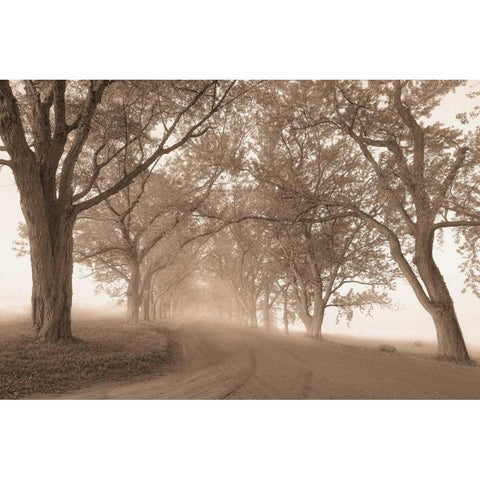 Guardians of the Road Black Modern Wood Framed Art Print with Double Matting by Svibilsky, Igor
