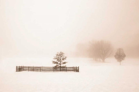 Isolated White Modern Wood Framed Art Print with Double Matting by Svibilsky, Igor