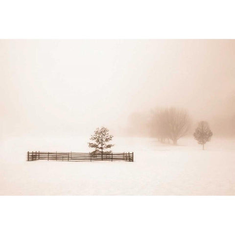 Isolated White Modern Wood Framed Art Print by Svibilsky, Igor