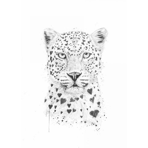 Lovely Leopard Black Modern Wood Framed Art Print with Double Matting by Solti, Balazs