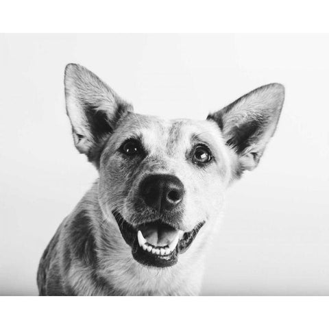 Irma Black Modern Wood Framed Art Print by Sabo, Susan