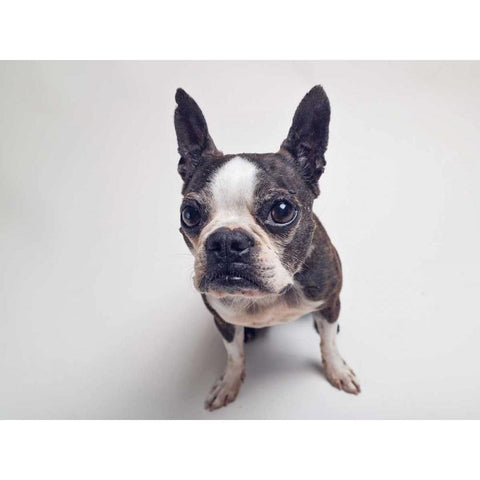 Norton Moses Gold Ornate Wood Framed Art Print with Double Matting by Sabo, Susan