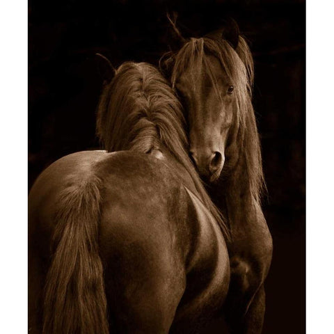 Tenderness I Black Modern Wood Framed Art Print with Double Matting by Stromberg, Tony