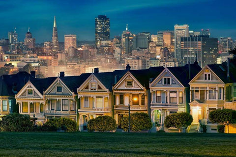 Painted Ladies White Modern Wood Framed Art Print with Double Matting by Sie, Lee
