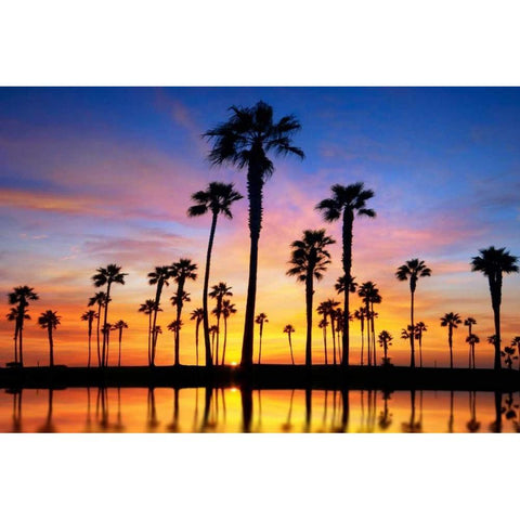Prelude White Modern Wood Framed Art Print by Sie, Lee