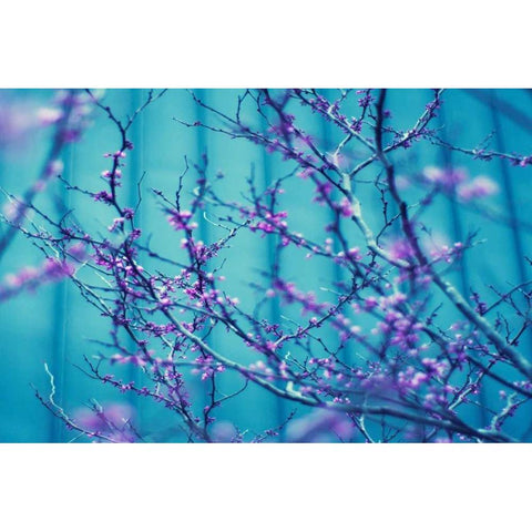 Sacre Bleu Black Modern Wood Framed Art Print by Sie, Lee