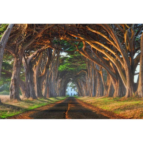 Tunnel of Light Black Modern Wood Framed Art Print by Sie, Lee