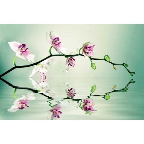 Zen White Modern Wood Framed Art Print by Sie, Lee