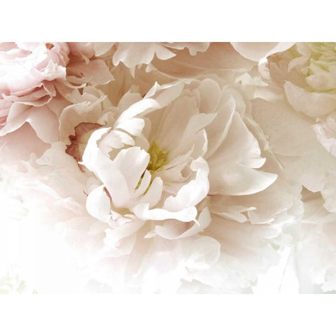 Froth White Modern Wood Framed Art Print by Stalus, Judy