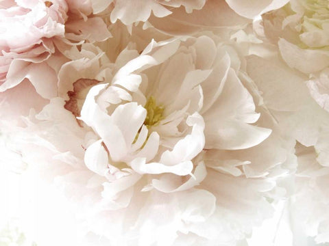 Froth Black Ornate Wood Framed Art Print with Double Matting by Stalus, Judy