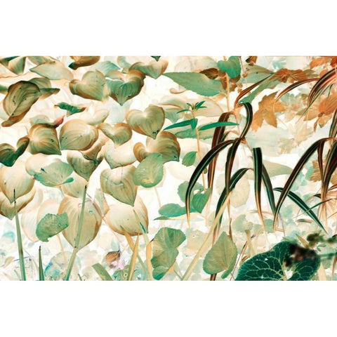 Autumn Fantasy White Modern Wood Framed Art Print by Stalus, Judy