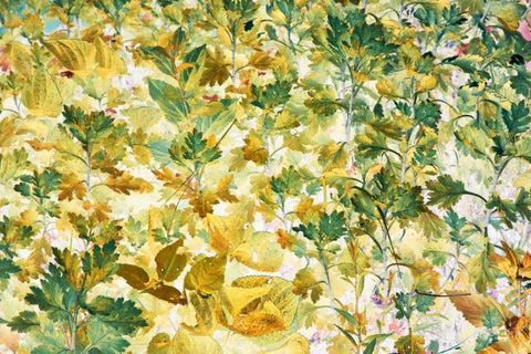 Autumn Tapestry White Modern Wood Framed Art Print with Double Matting by Stalus, Judy