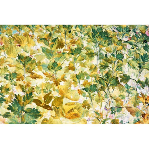 Autumn Tapestry Black Modern Wood Framed Art Print with Double Matting by Stalus, Judy