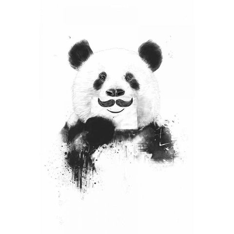 Funny Panda Black Modern Wood Framed Art Print with Double Matting by Solti, Balazs